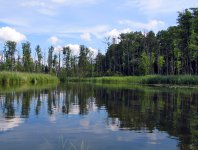 spływy kajakowe  - konkurs-2006-rozstrzygniety