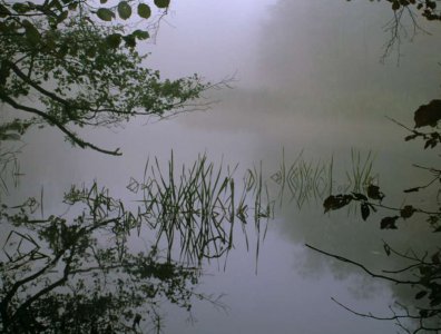 spływy kajakowe  - krajobrazy