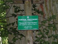 spływy kajakowe  - krutynia-1-10-08-2005