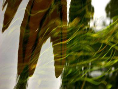 spływy kajakowe  - krutynia-18-25-08-2008