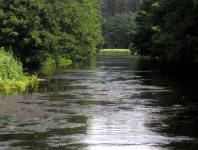 spływy kajakowe  - wda-22-07-29-07-2007