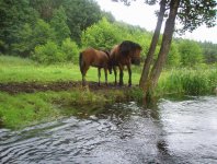 Wda (Błędno - Tleń)